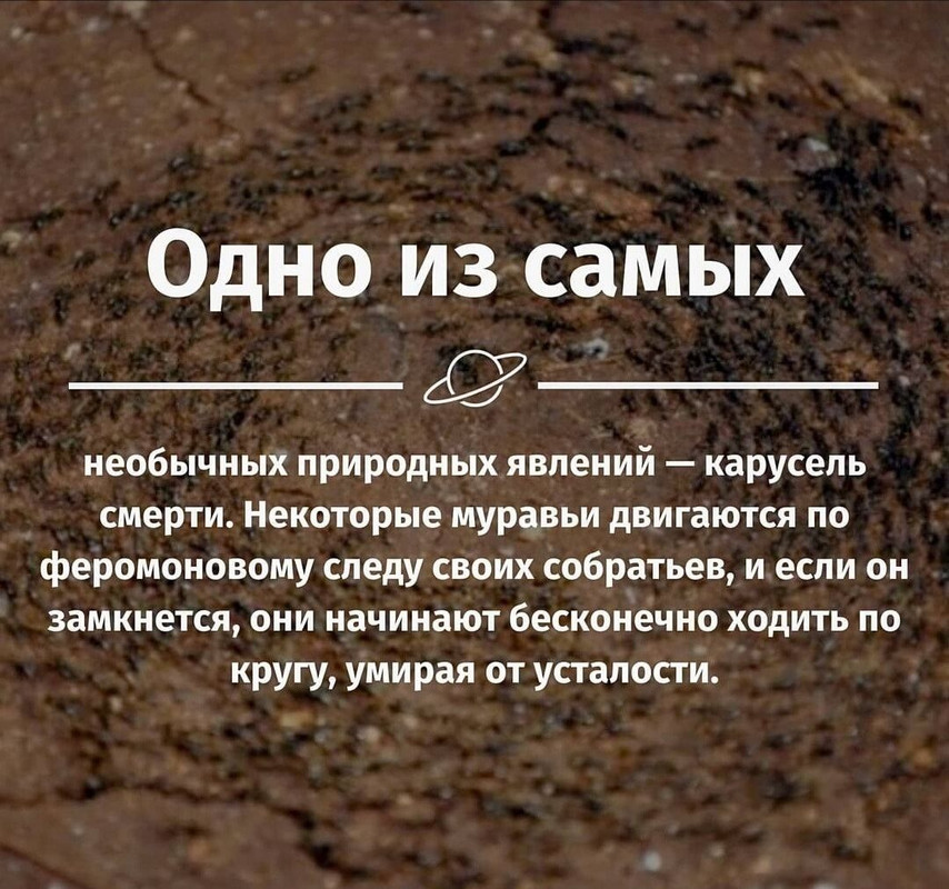 изображение_viber_2025-07-16_15-51-49-243