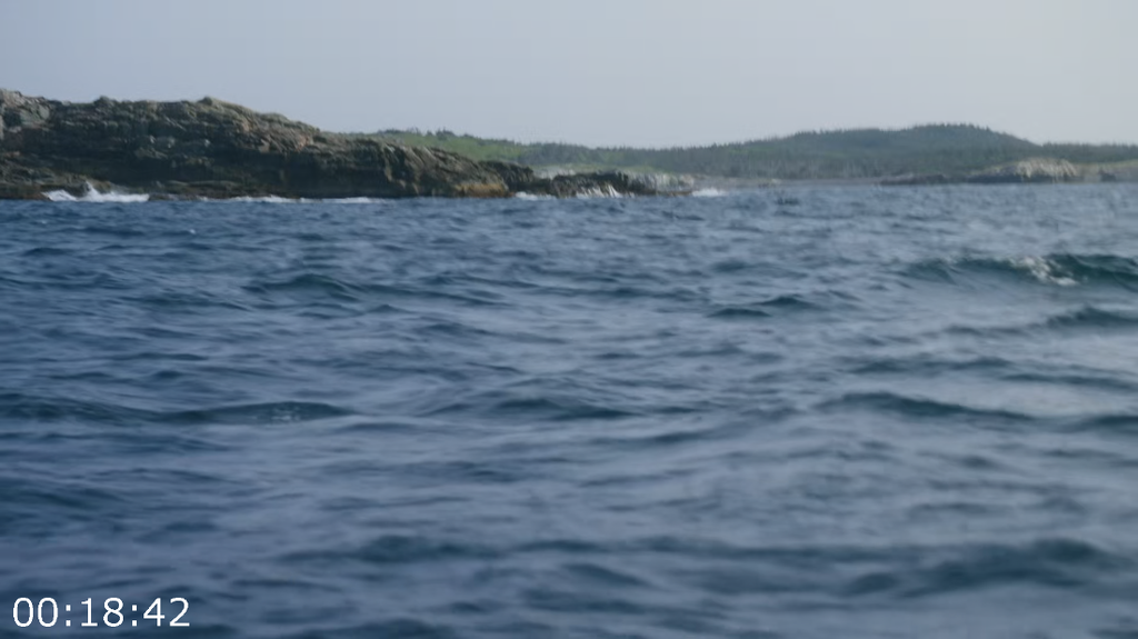 [Image: 0z9aufju6z3n.png]