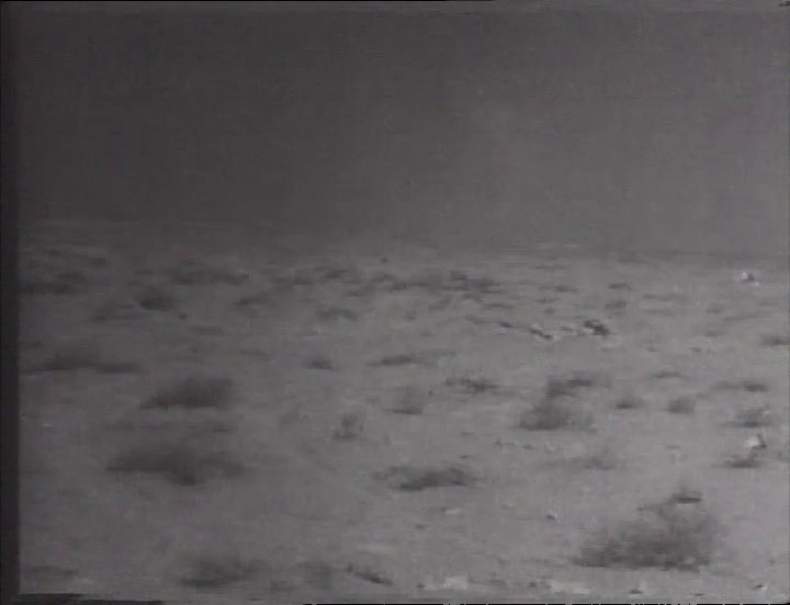 [Image: b4ezg5m8lgp1.png]