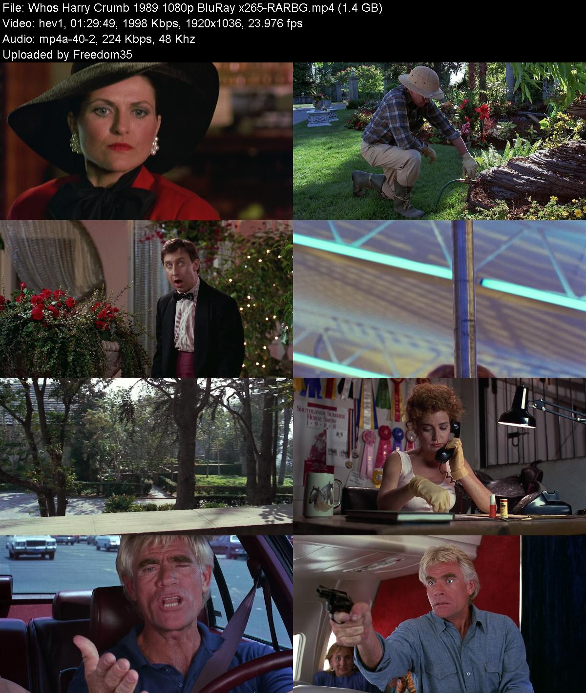 Whos-Harry-Crumb-1989-1080p-Blu-Ray-x265