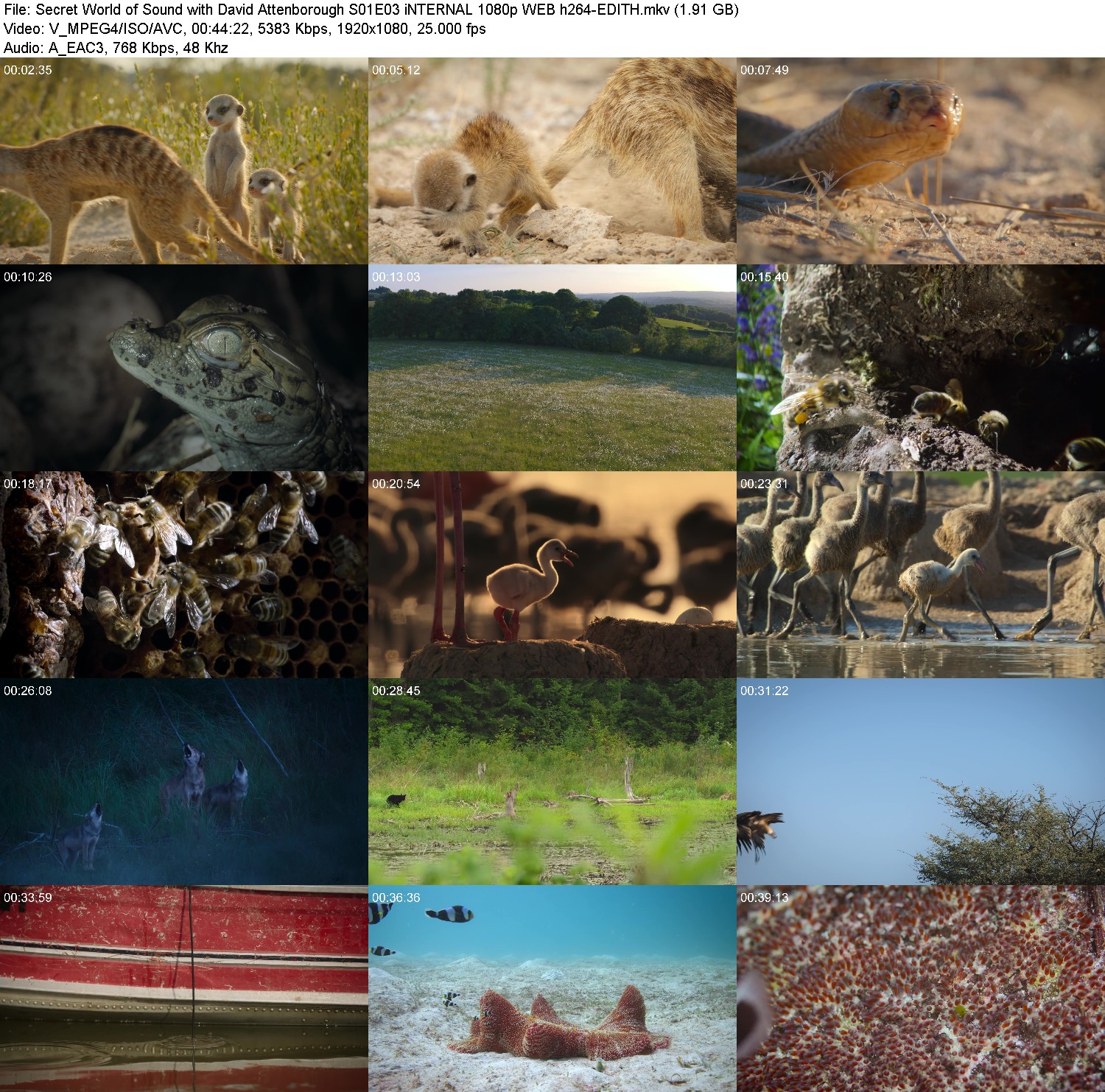 [Image: f73arx40iwmx.jpg]