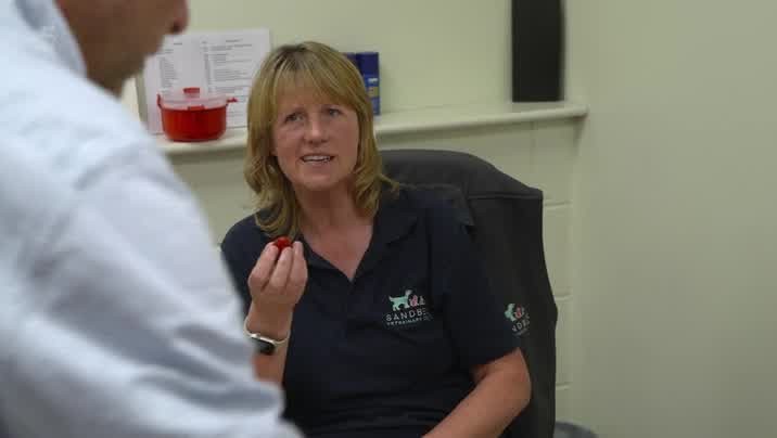 [Image: 2ou7w0zxb2cx.jpg]