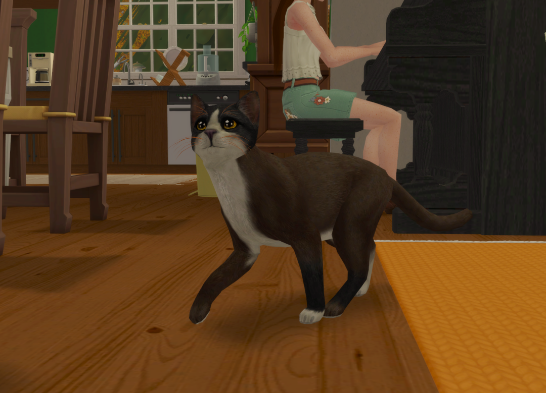 Sims2-EP9-RPC-2024-09-11-21-05-25-37
