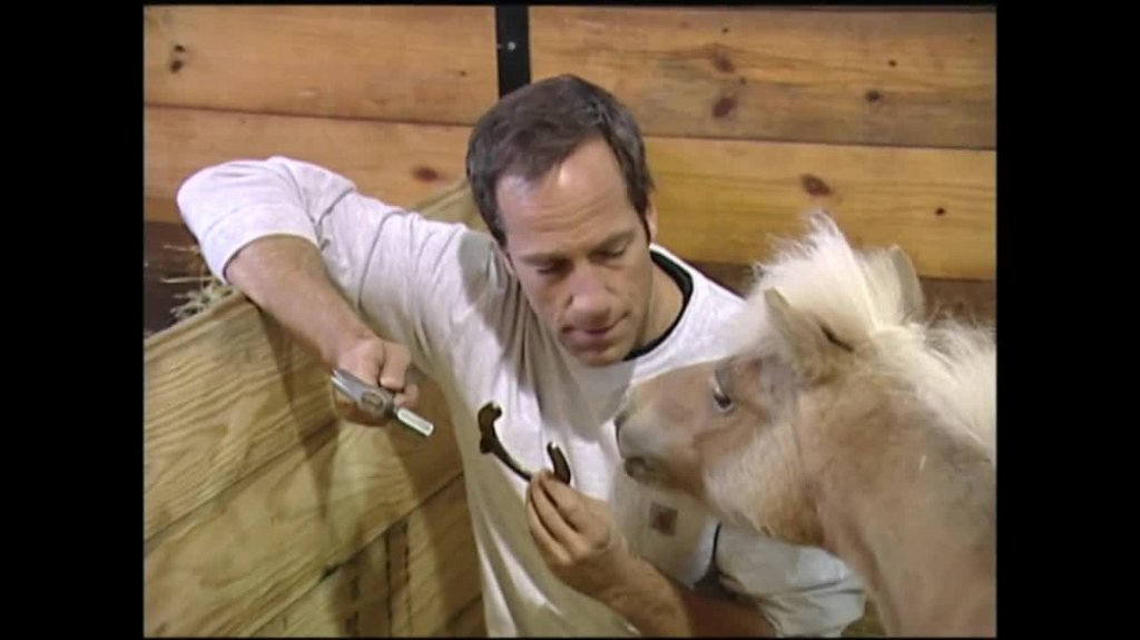 [Image: wiz88eo55sfq.jpg]