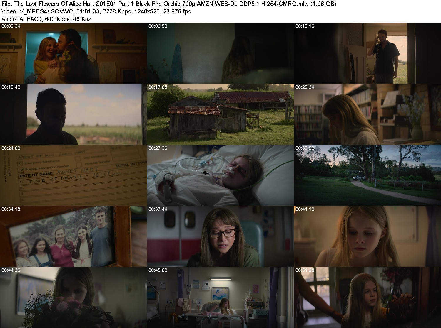 [Image: hc1ofo31xcl1.jpg]