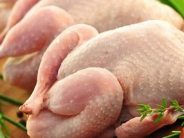 Рынок мяса птицы в ЕС продолжит расти