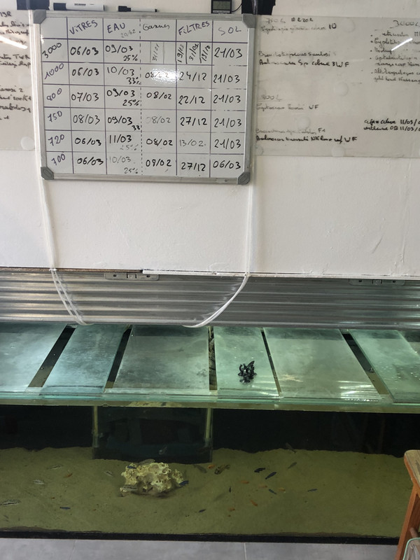 M04DIcuARn6AQ4U4c9JPiw