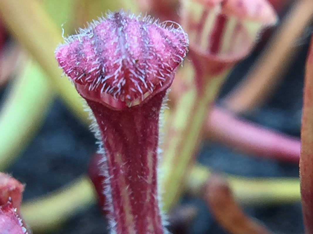 ECD1C56C-348A-4CF7-BC28-F23E495FF426