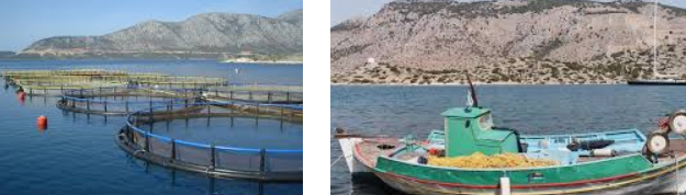 ΕΡΩΤΗΣΗ ΣΤΗ ΒΟΥΛΗ ΓΙΑ ΤΗ ΣΤΗΡΙΞΗ ΑΛΙΕΩΝ ΚΑΙ ΥΔΑΤΟΚΑΛΛΙΕΡΓΗΤΩΝ ΑΠΟ ΤΙΣ ΕΠΙΠΤΩΣΕΙΣ ΤΗΣ ΚΡΙΣΗΣ ΣΤΗ ΜΕΣΗ ΑΝΑΤΟΛΗ