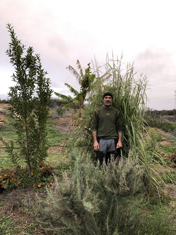 00F24DC1-6EF6-4C05-ABC7-4A1153273E0B