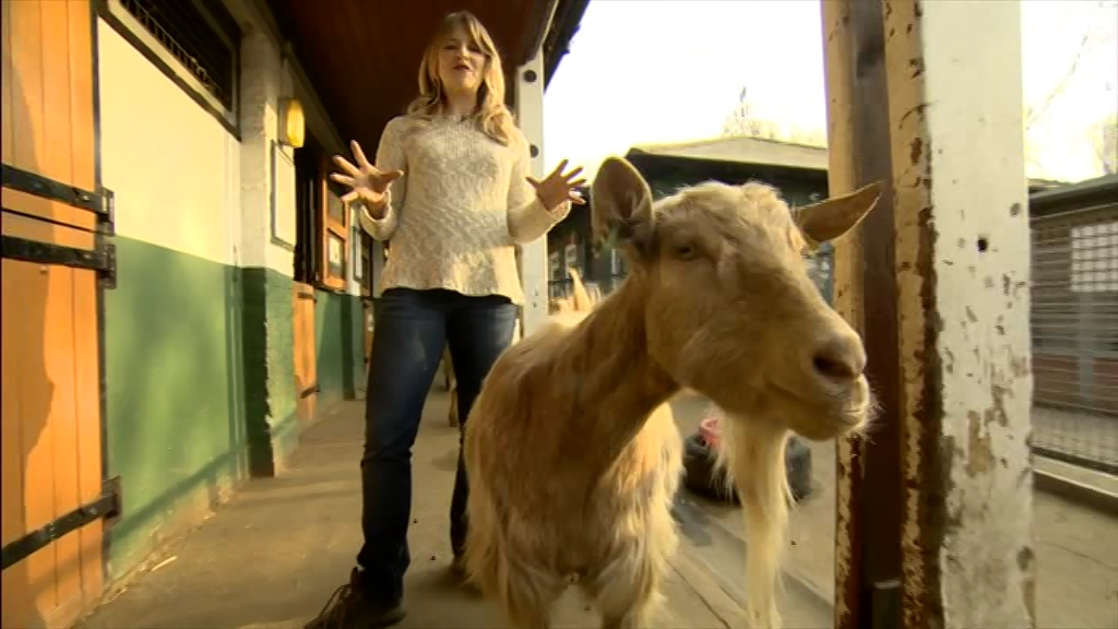 BBC London News_20220324_18301900.ts_snapshot_25.04.580