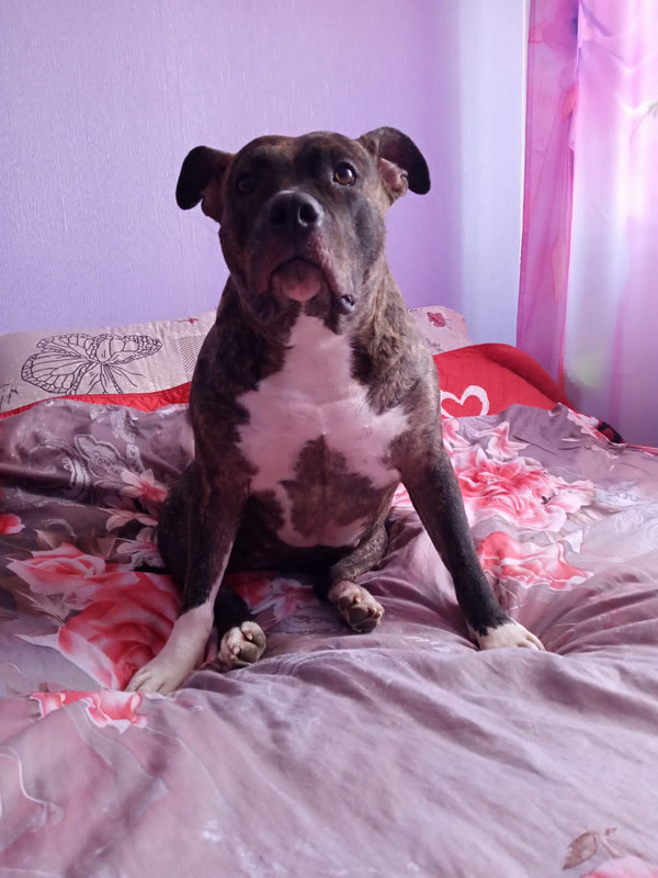 0CB2FBB3-D989-46D1-8A22-8E492BFC90EA