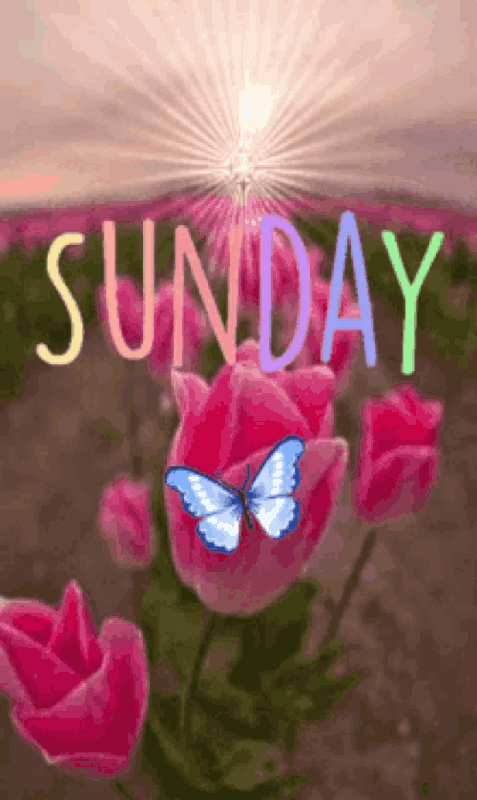 An den Beitrag angehängtes Bild: https://i.postimg.cc/T10qgSrC/oie-3173731fd-M3-F6-Gl.gif