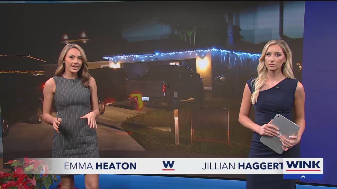WINK News at 11_20241227_04000435.ts_snapshot_01.08.375