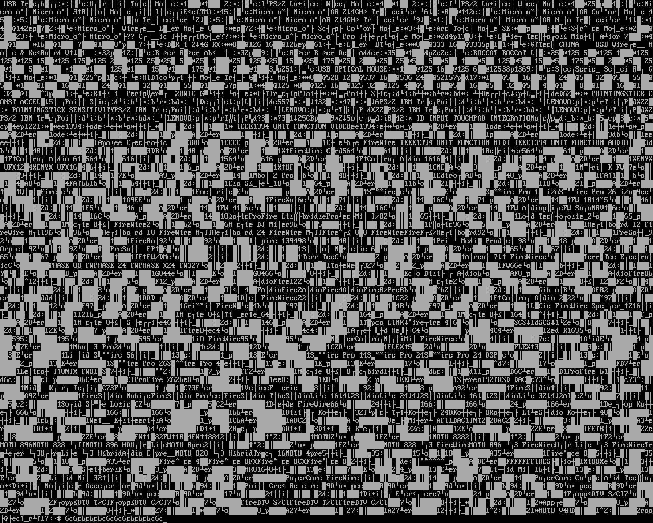 tty3 captura 0001