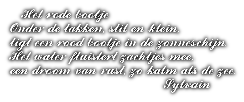 cooltext504533512366086