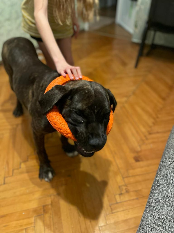 21F5F98D-7D9B-428B-BA8B-5F18E9A8CEC2