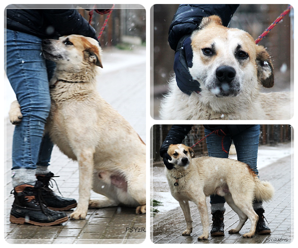 BeFunky-collage (20)