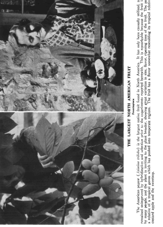 Screenshot 2026 01 28 174304