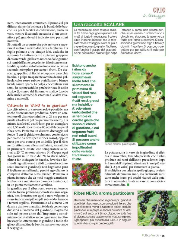 Pol Ver Giu 2022 (8)