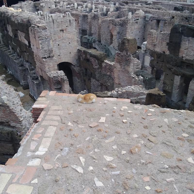 La mia vita. Римские записки, дневник онлайн La mia vita. Римские записки, дневник онлайн