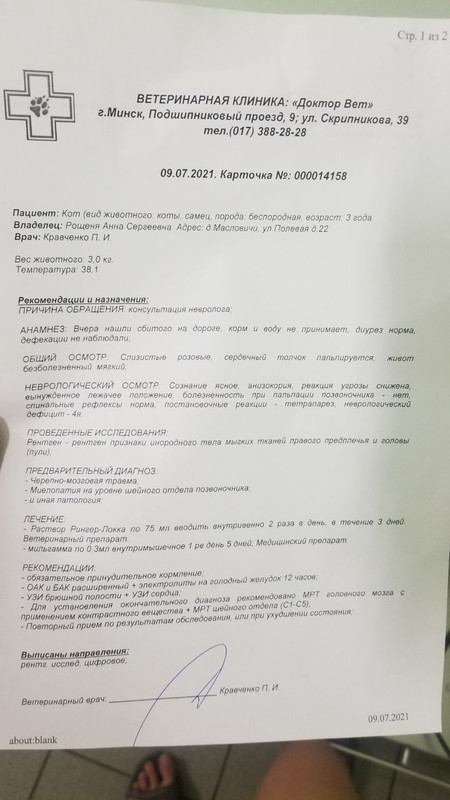 C0AE0736-E113-4AB0-BBCB-D1AA94BDB081