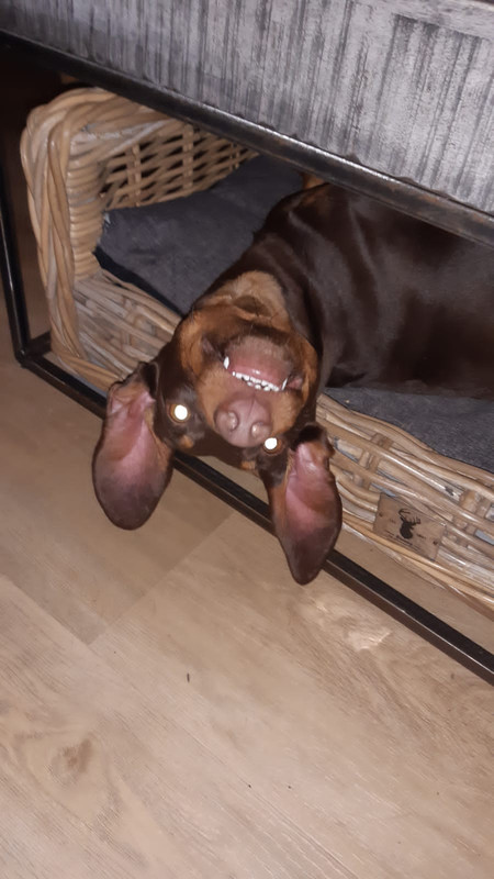 D98DADDD-DD7C-44A5-9F98-8ED30B1DC0F5