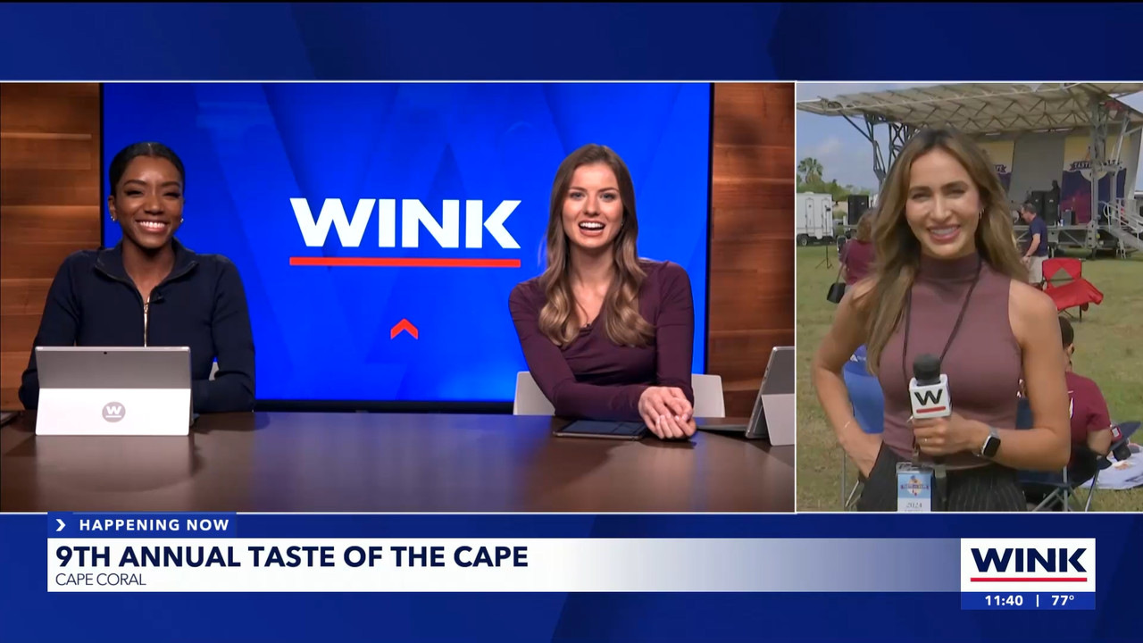 03.03 - 16.30.01 - WINK NEWS at 11 30am. Midday news.  . . .  Categor....ts_snapshot_16.35.818