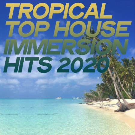 Various Artists   Tropical Top House Immersion Hits 2020
