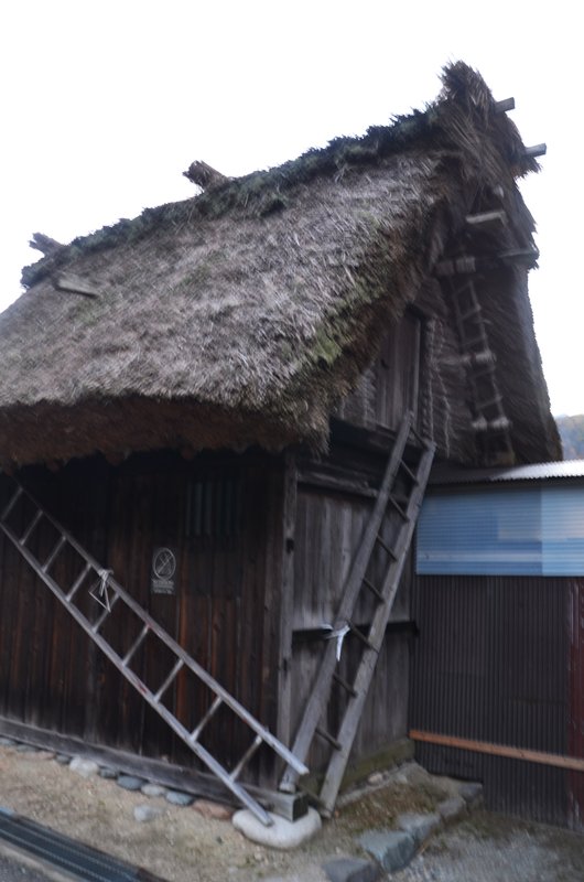 Aldea Histórica de Shirakawa-Go-14-11-2024 - Japón y sus Pueblos-2024 (13)