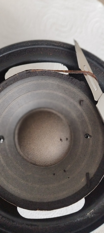 [Bild: IMG-20260201-112332.jpg]