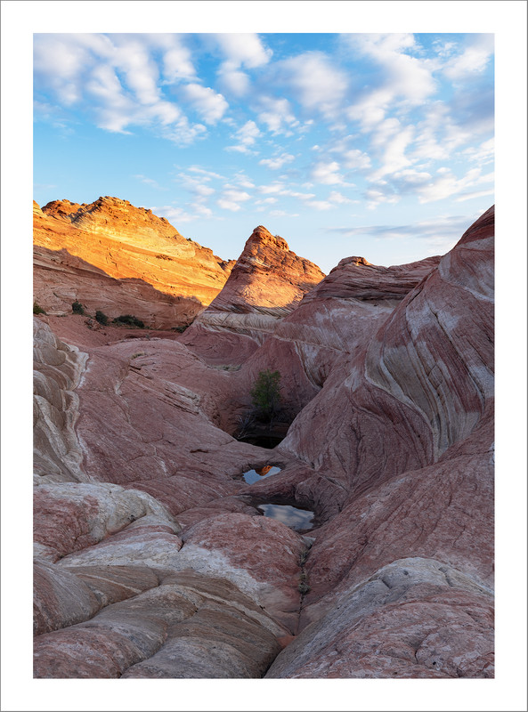 Ed2000-4x3TopazNik2980-2986ZS_DSF copy