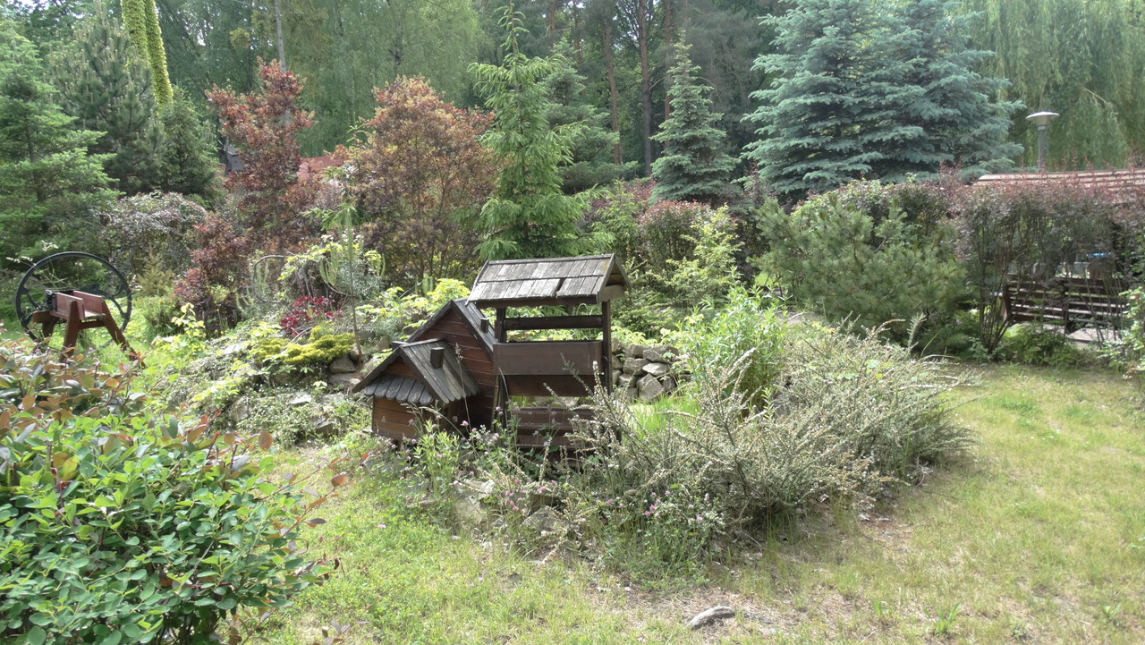 03.06 - DSC09942 (Czesio1)