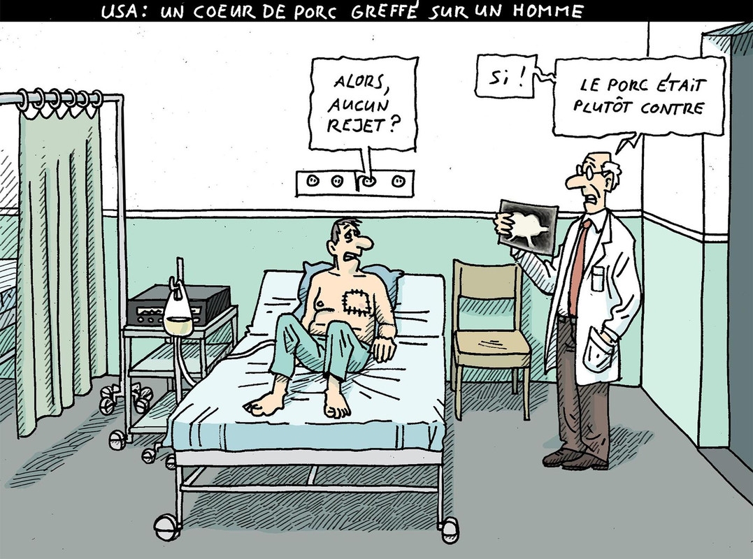 7Uy-i4WJq_2AYOfmNKTgvY