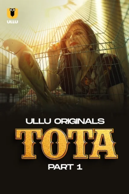 Tota Part-1 (2024) S01 Ullu Hindi Originals Web Series HDRip X264 AAC 1080p 720p Download