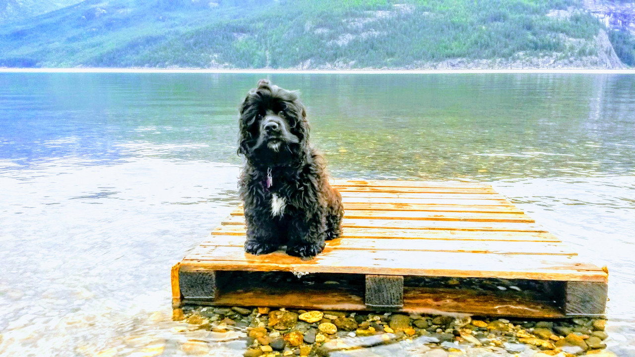 20160711_055859-EFFECTS