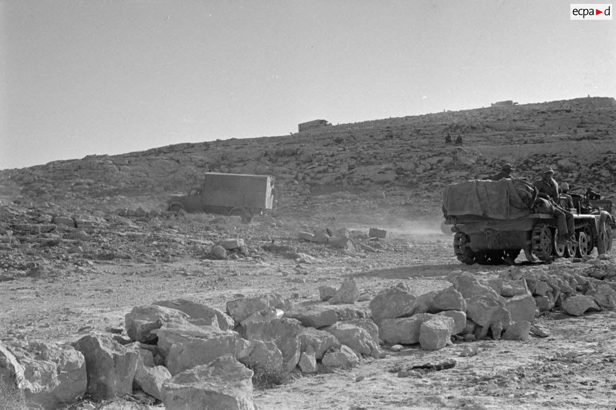 Une colonne de véhicules qui progresse vers la passe d'Halfaya.