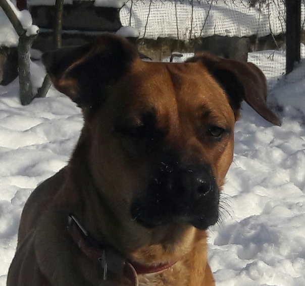 0B0B631A-BC8E-485E-A9A5-CED9BBA4821F