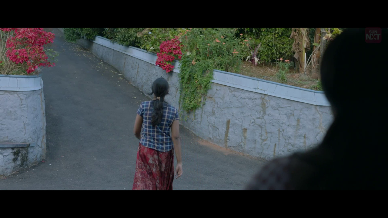 vlcsnap 2026 02 11 15h56m39s430