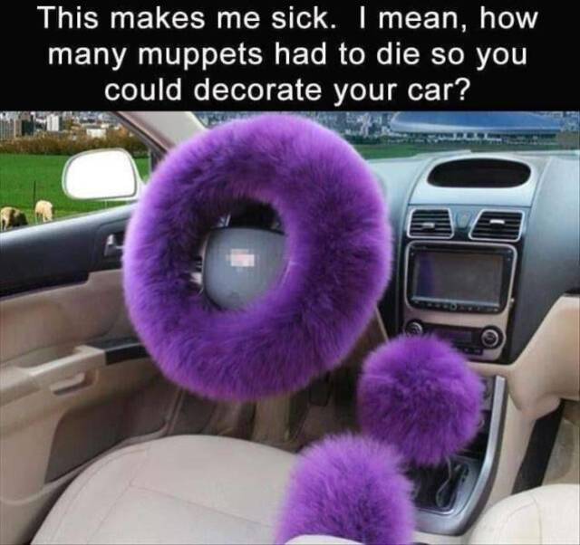picdump-kw29-2026-009.jpg