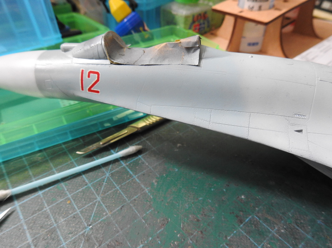 Su-27 Flanker B , Academy 1/48 - Sida 5 DSCN5506