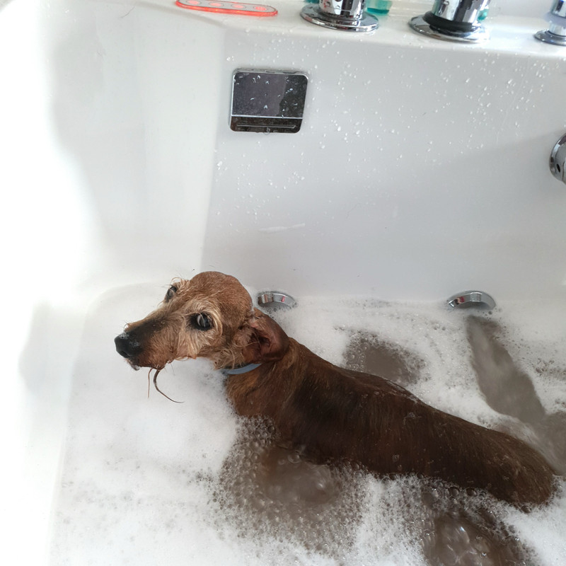 [Image: 20210921-112240.jpg]