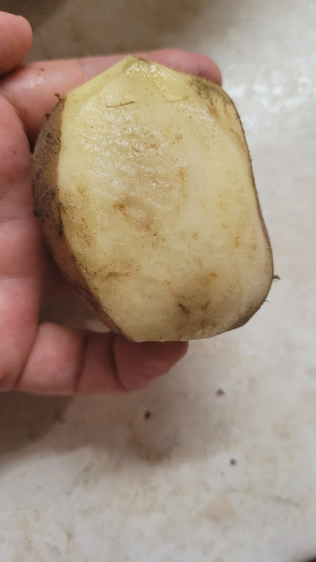 HaCSmc-rSBpSk1f1v521XHaStSOiVlyLG0bk2XCW2AYGGOBa2hMvFz2Tlv9wxymOf-6e1-O0MSmKIds4rJro6Ly2