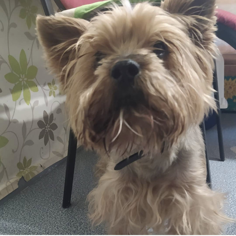 7DF1B8D7-D1B5-408C-8D10-BAFB199094CA