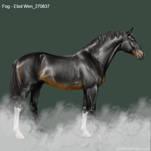 Fog.png
