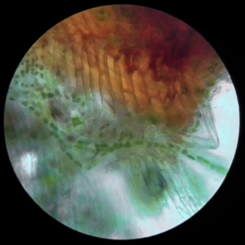 IMG 20250617 110044 HDR