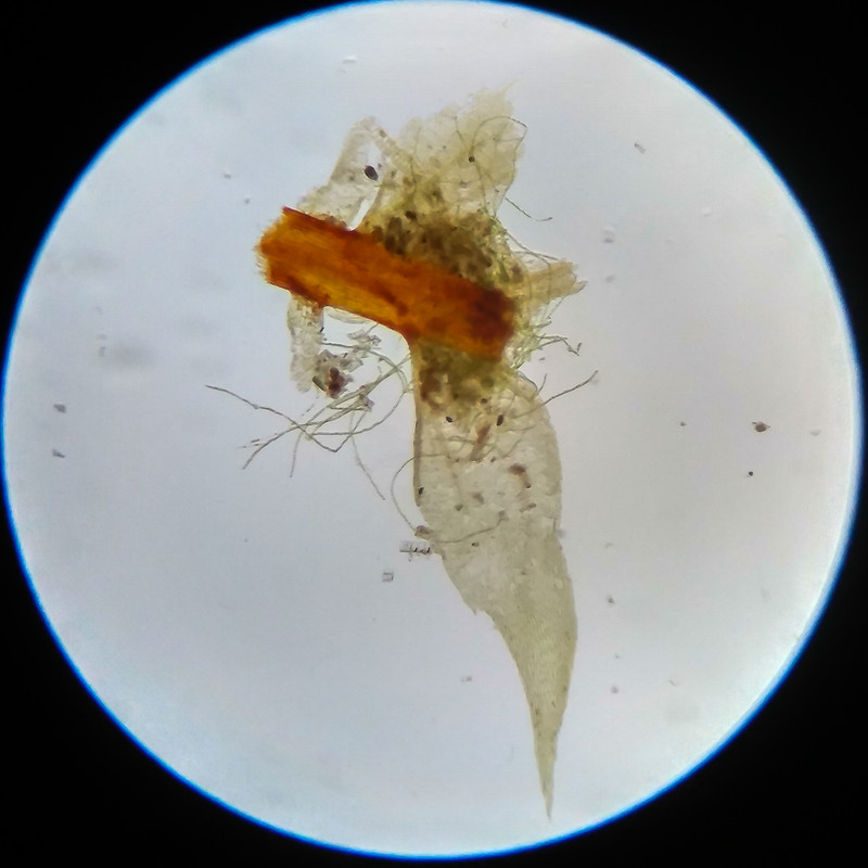 IMG 20250617 105652 HDR