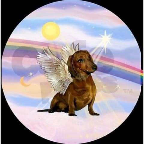 [Image: D-c-s-arc-en-ciel-8.jpg]