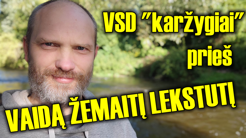 VSD 