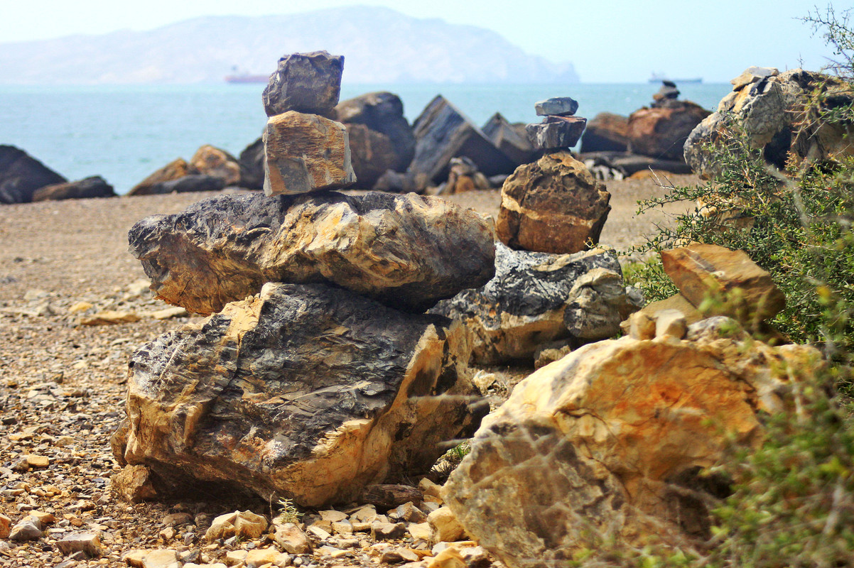 Sendero-del-Dharma-1.jpg